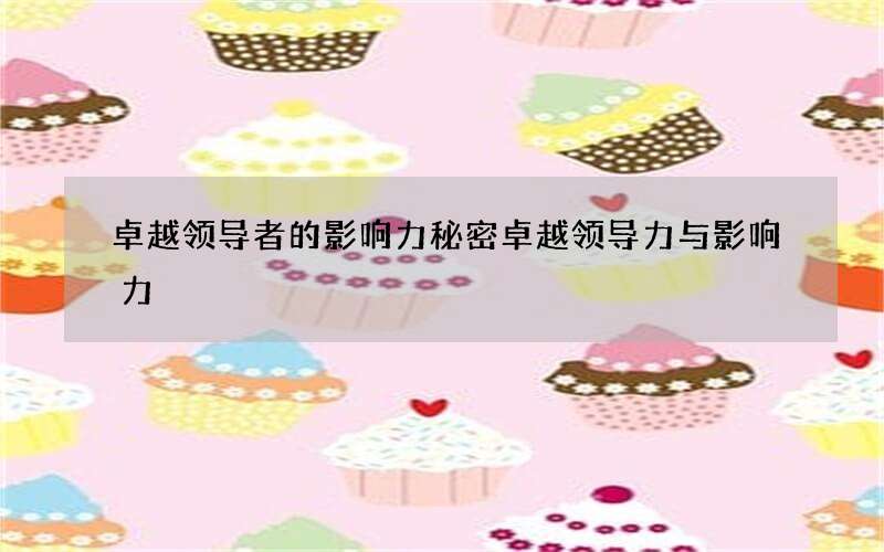 卓越领导者的影响力秘密 卓越领导力与影响力