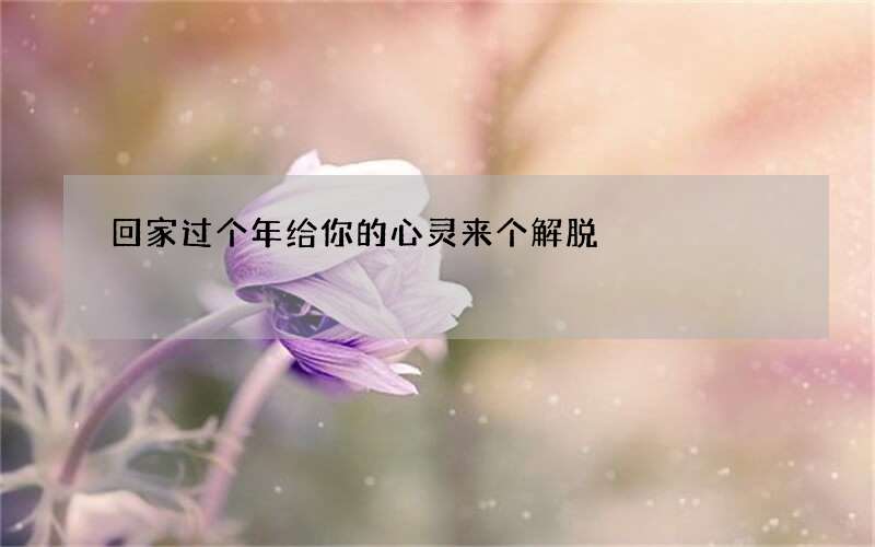 回家过个年给你的心灵来个解脱