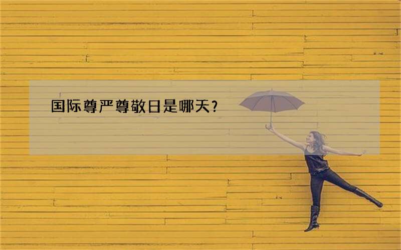 国际尊严尊敬日是哪天？