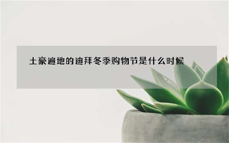 土豪遍地的迪拜冬季购物节是什么时候