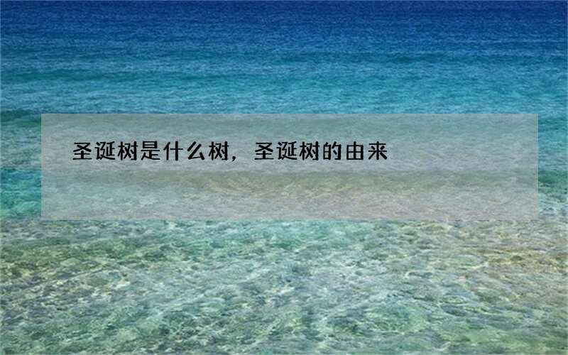 圣诞树是什么树，圣诞树的由来