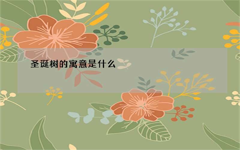 圣诞树的寓意是什么