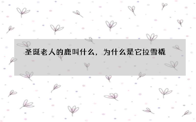 圣诞老人的鹿叫什么，为什么是它拉雪橇