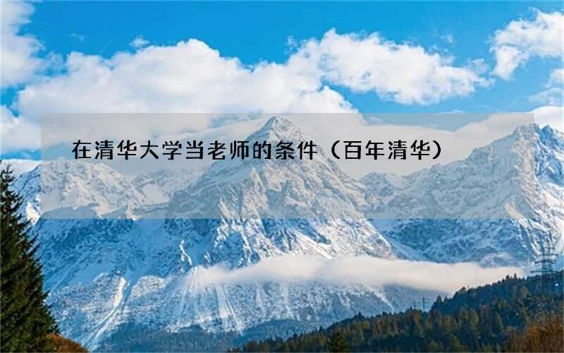 百年清华 在清华大学当老师的条件