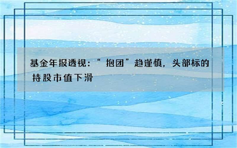 基金年报透视：“抱团”趋谨慎，头部标的持股市值下滑