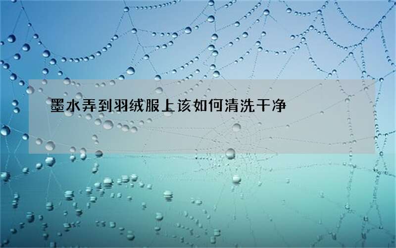 墨水弄到羽绒服上该如何清洗干净
