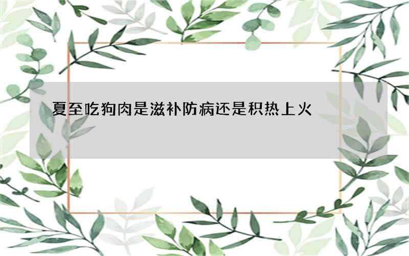 夏至吃狗肉是滋补防病还是积热上火