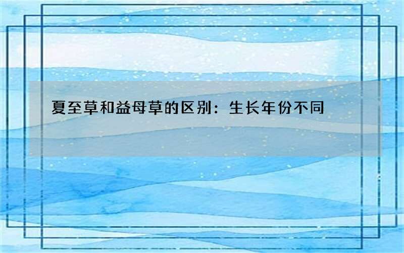 夏至草和益母草的区别：生长年份不同