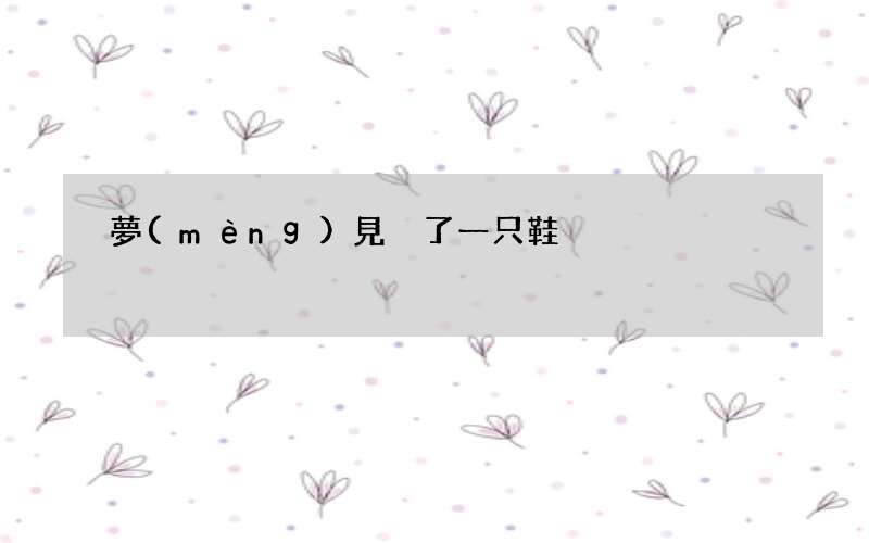 夢(mèng)見丟了一只鞋