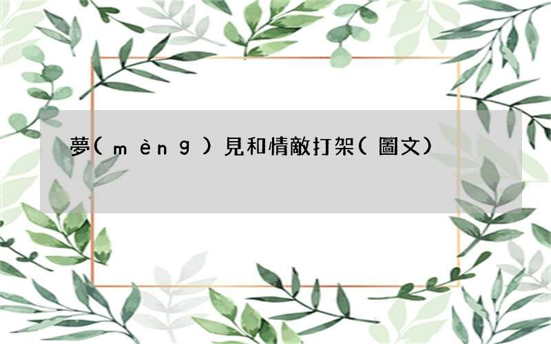 夢(mèng)見和情敵打架