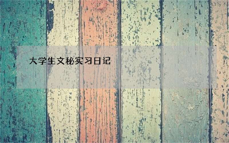 大学生文秘实习日记