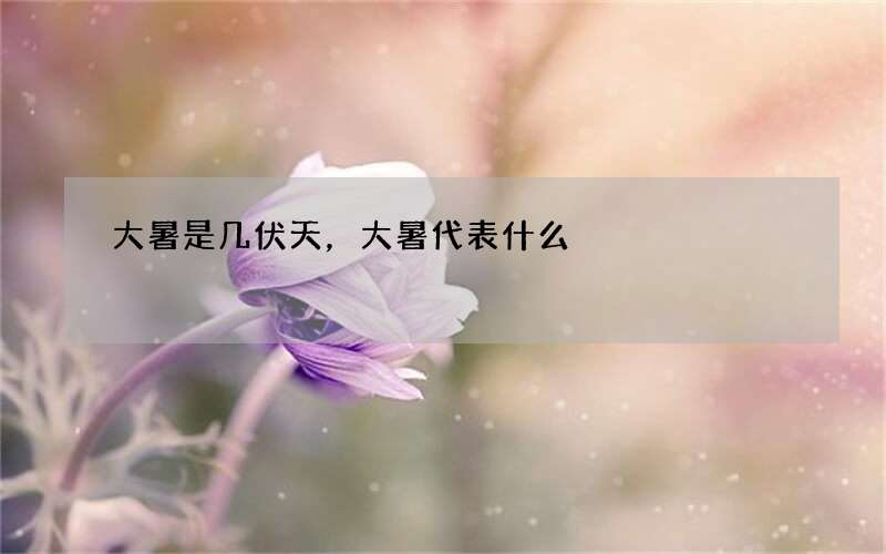 大暑是几伏天，大暑代表什么