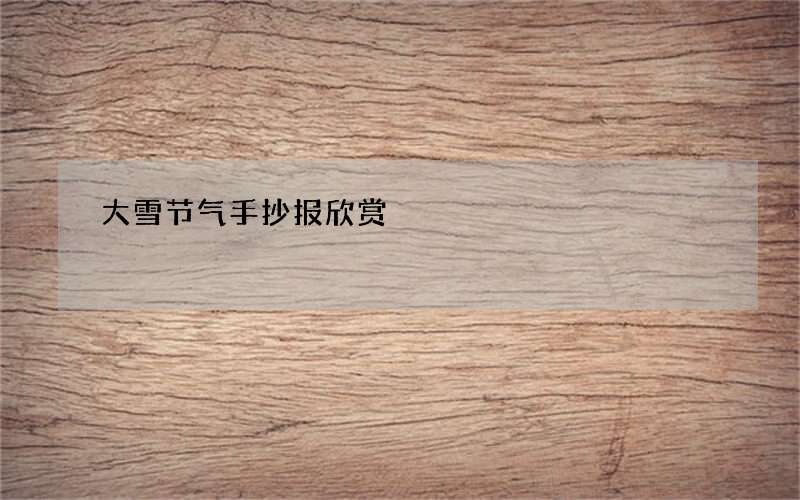 大雪节气手抄报欣赏