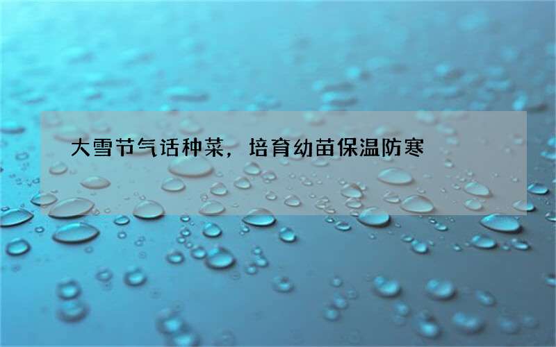大雪节气话种菜，培育幼苗保温防寒