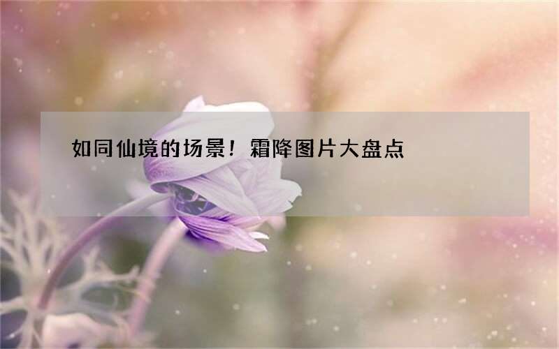 如同仙境的场景！霜降图片大盘点