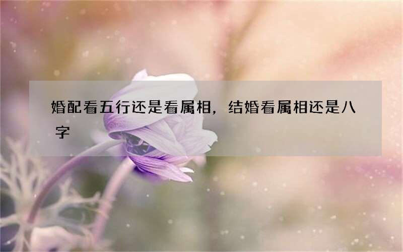 婚配看五行还是看属相，结婚看属相还是八字