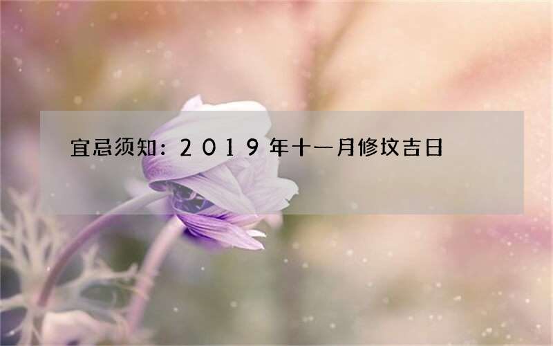 宜忌须知：2019年十一月修坟吉日
