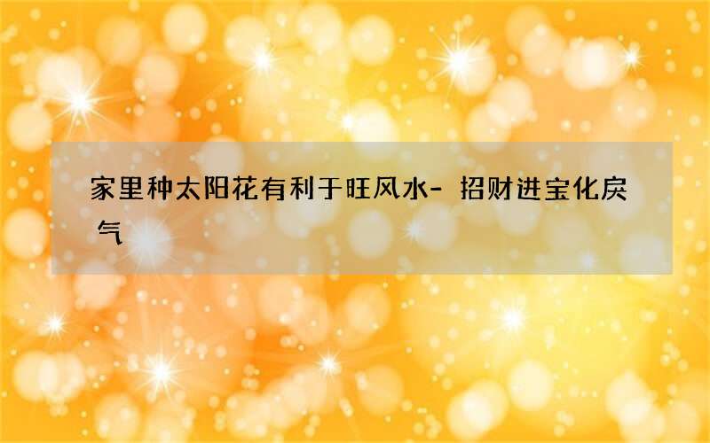 家里种太阳花有利于旺风水-招财进宝化戾气