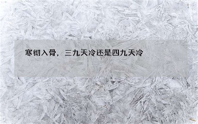 寒彻入骨，三九天冷还是四九天冷