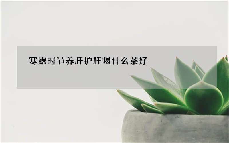 寒露时节养肝护肝喝什么茶好