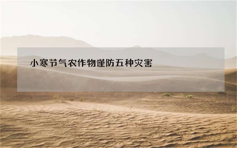 小寒节气农作物谨防五种灾害