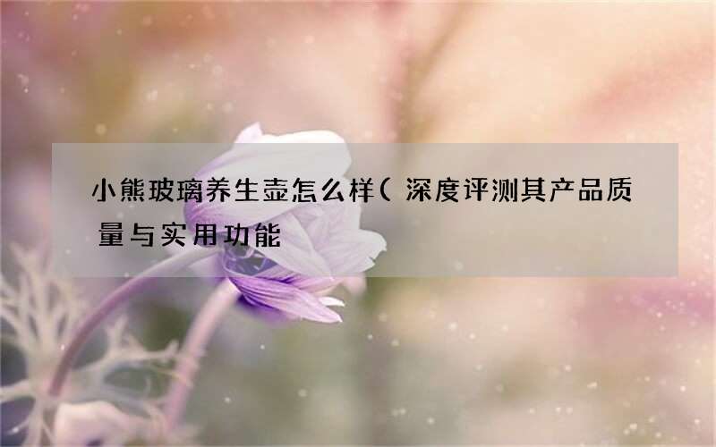 深度评测其产品质量与实用功能 小熊玻璃养生壶怎么样