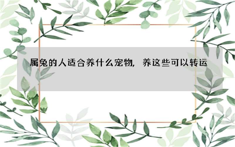 属兔的人适合养什么宠物,养这些可以转运