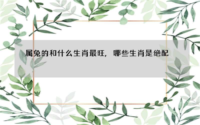 属兔的和什么生肖最旺,哪些生肖是绝配