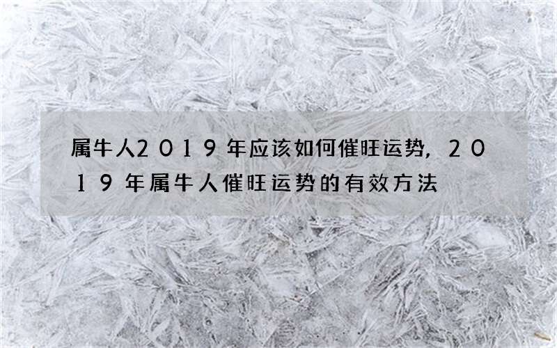 属牛人2019年应该如何催旺运势,2019年属牛人催旺运势的有效方法