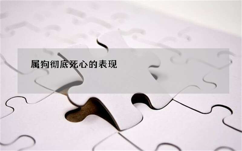 属狗彻底死心的表现