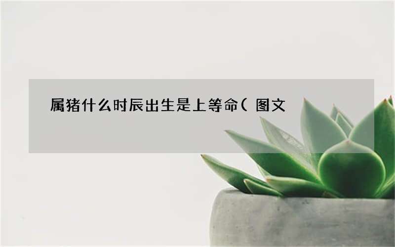 图文 属猪什么时辰出生是上等命