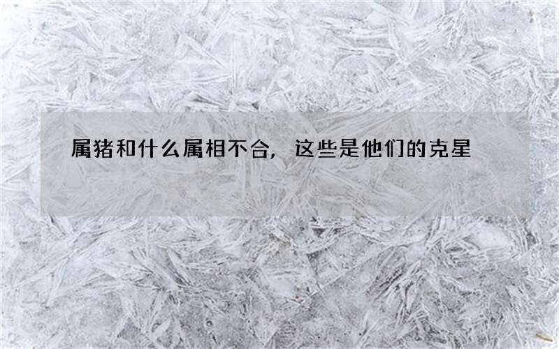 属猪和什么属相不合,这些是他们的克星