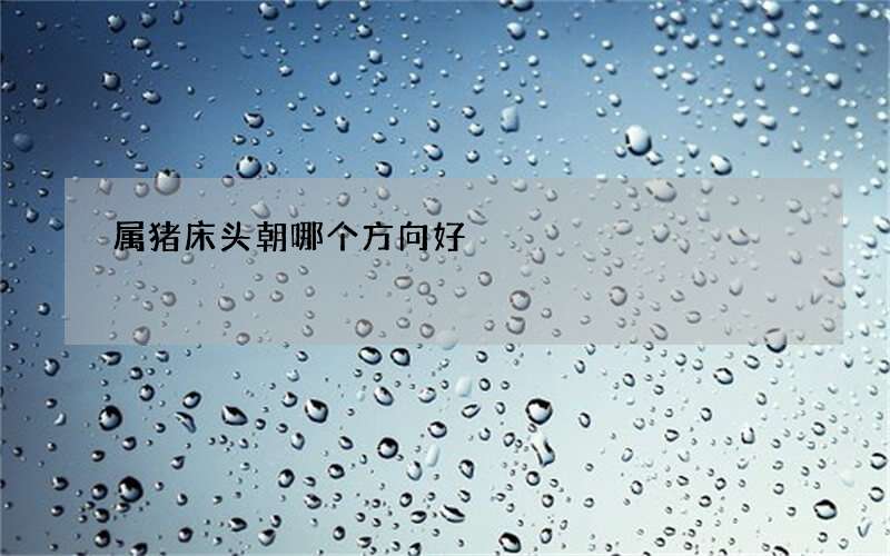 属猪床头朝哪个方向好