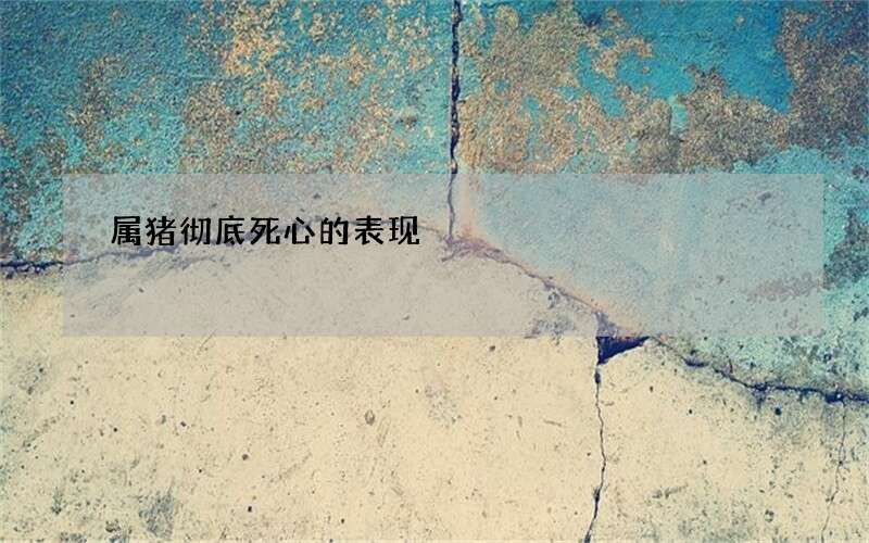 属猪彻底死心的表现