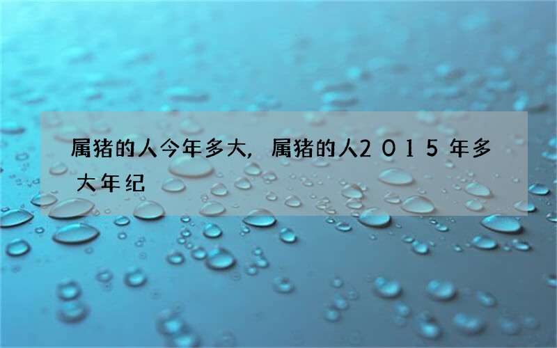 属猪的人今年多大,属猪的人2015年多大年纪