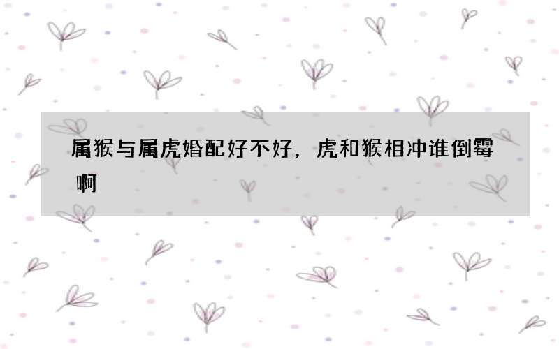 属猴与属虎婚配好不好，虎和猴相冲谁倒霉啊