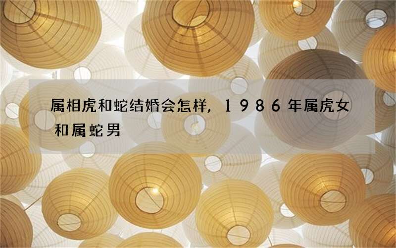 属相虎和蛇结婚会怎样,1986年属虎女和属蛇男