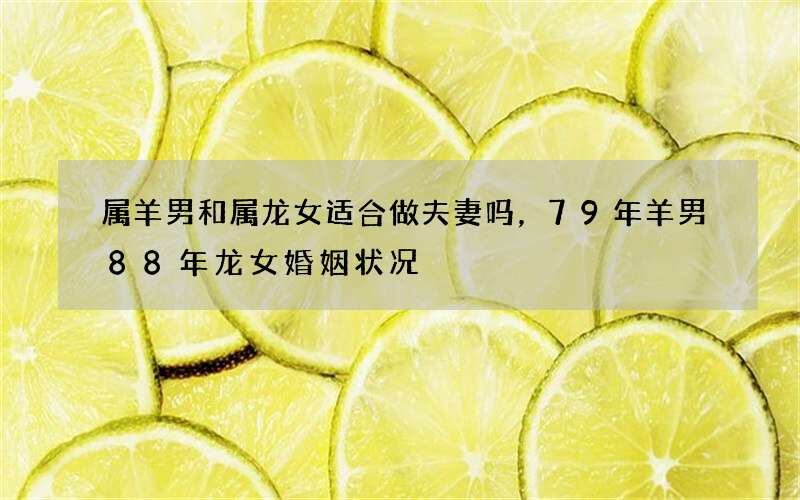 属羊男和属龙女适合做夫妻吗，79年羊男88年龙女婚姻状况