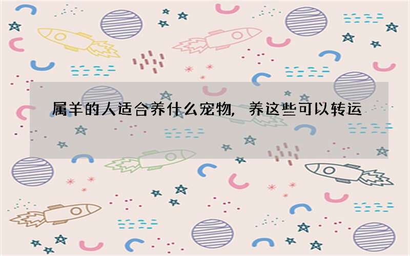 属羊的人适合养什么宠物,养这些可以转运