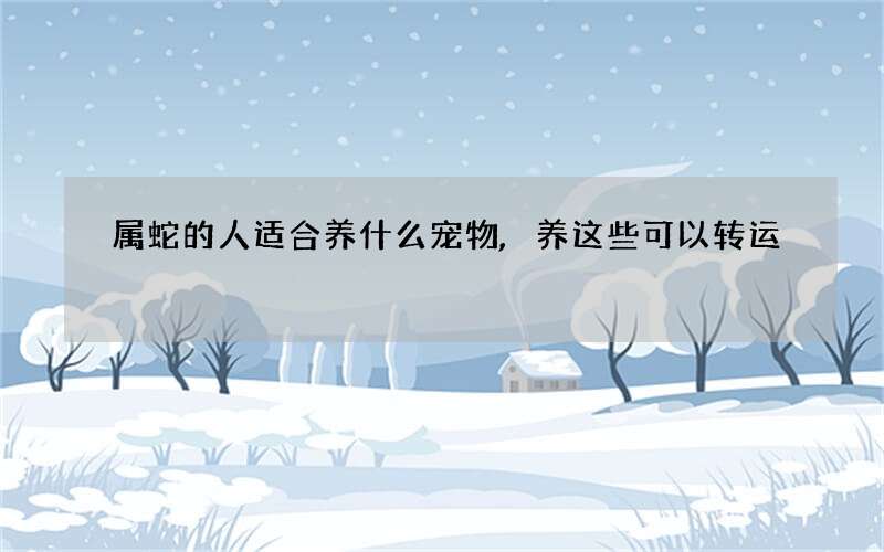 属蛇的人适合养什么宠物,养这些可以转运