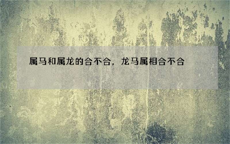 属马和属龙的合不合，龙马属相合不合