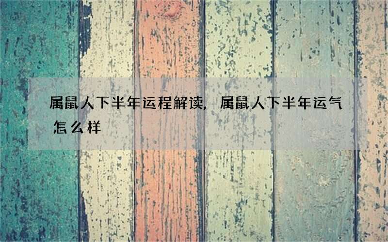 属鼠人下半年运程解读,属鼠人下半年运气怎么样