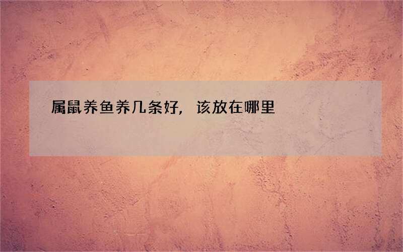 属鼠养鱼养几条好,该放在哪里