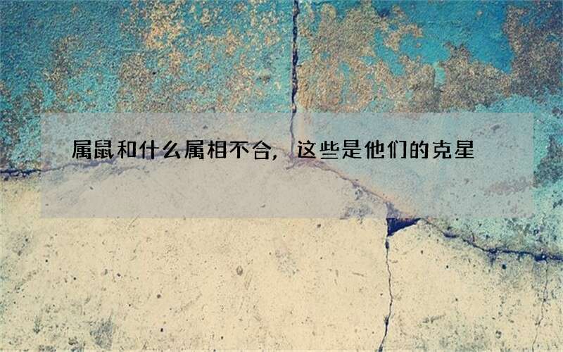 属鼠和什么属相不合,这些是他们的克星