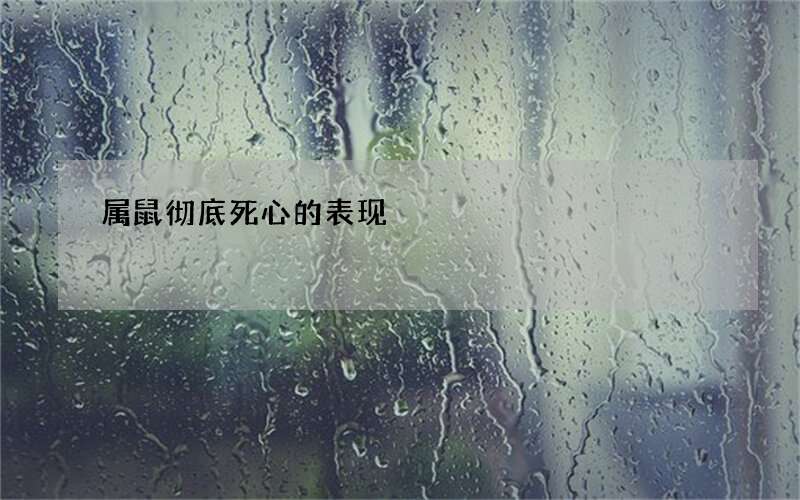属鼠彻底死心的表现