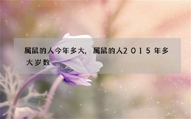 属鼠的人今年多大,属鼠的人2015年多大岁数
