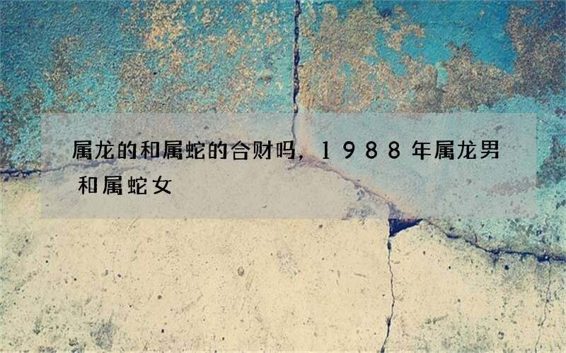属龙的和属蛇的合财吗，1988年属龙男和属蛇女