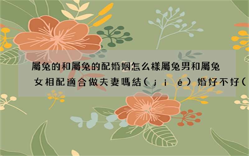 圖文 屬兔的和屬兔的配婚姻怎么樣 屬兔男和屬兔女相配適合做夫妻嗎結(jié)婚好不好