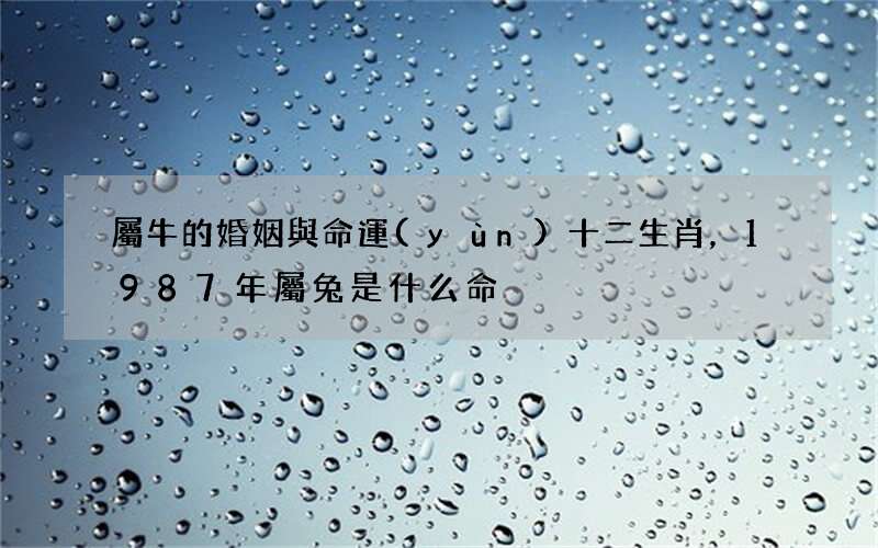 屬牛的婚姻與命運(yùn)十二生肖，1987年屬兔是什么命
