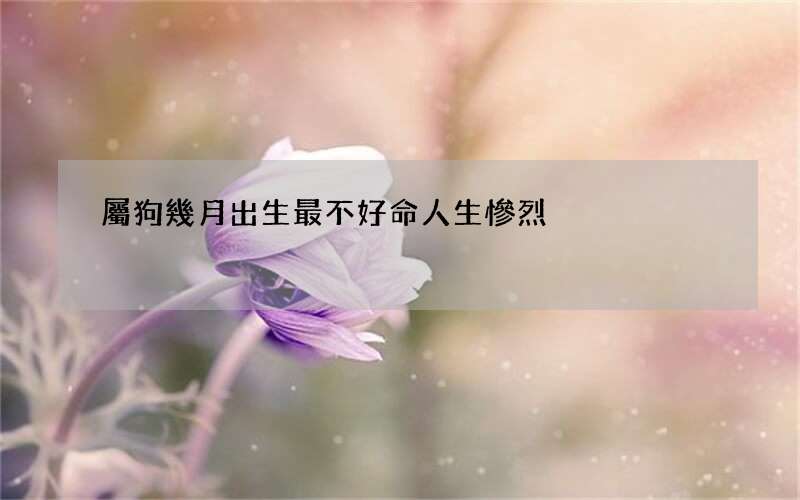 屬狗幾月出生最不好命人生慘烈